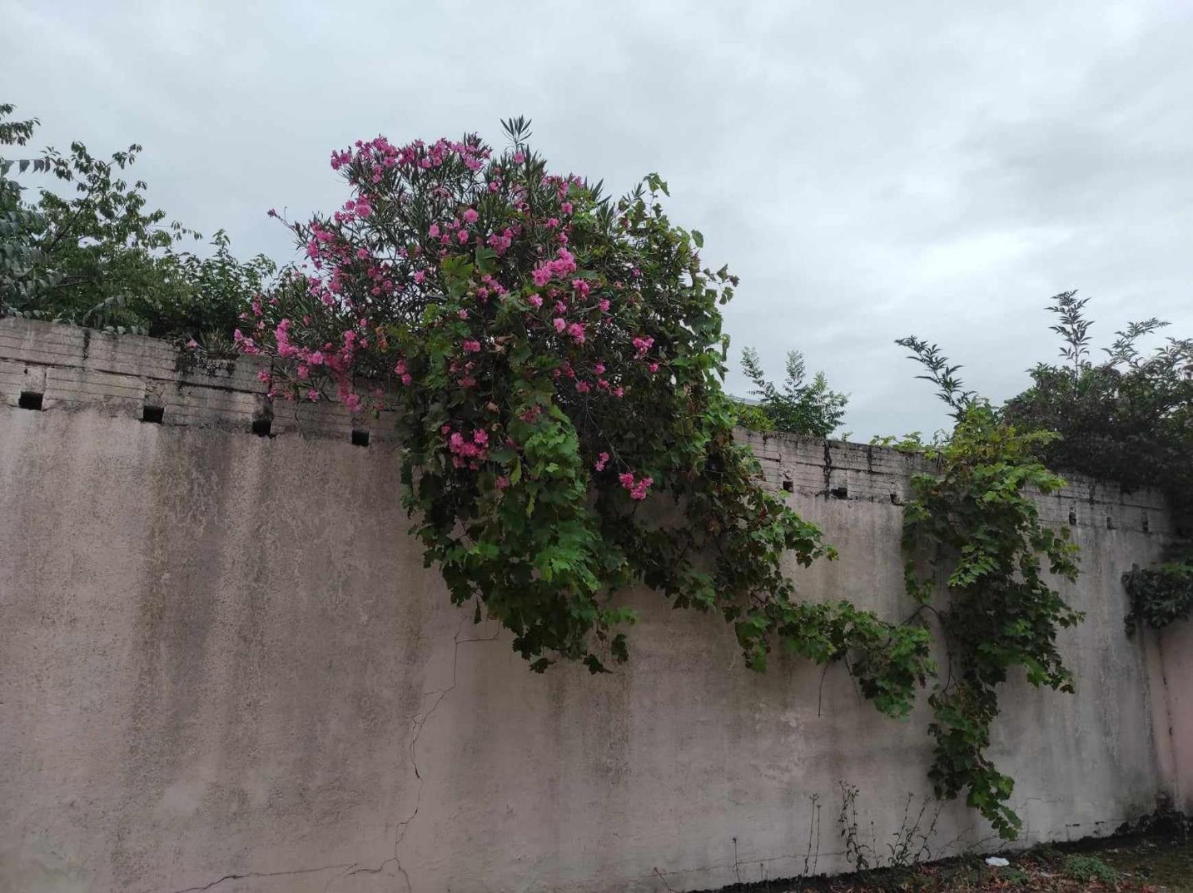 Apartment Le Clos Des Coquelicots *
